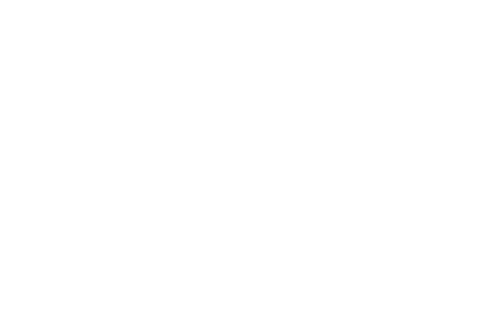 DroneSYS